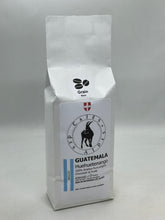 Charger l'image dans la galerie, Nouveau! Guatemala HueHuetenango.