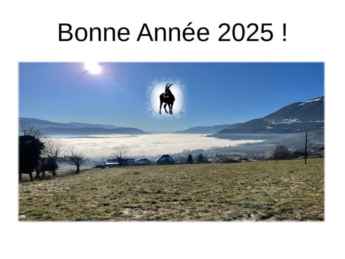 Tous mes meilleurs voeux pour cette nouvelle année!